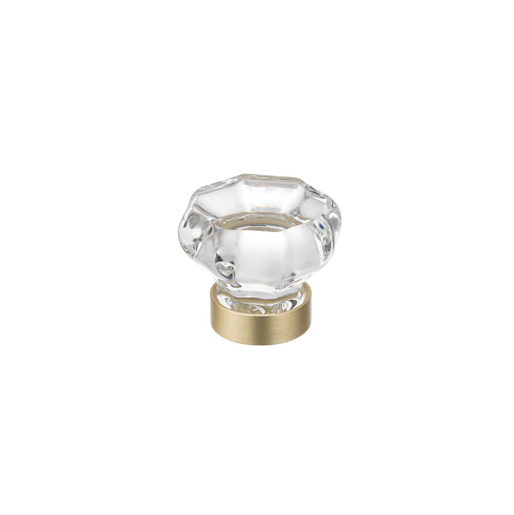 Richelieu America Eclectic Crystal and Metal Knob - 1007